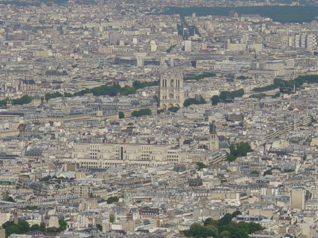 Notre Dame (from the tower)
