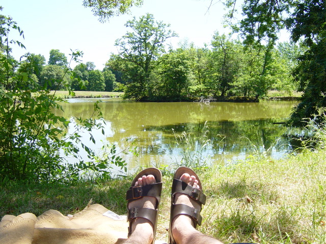The pond @ the Chataeux